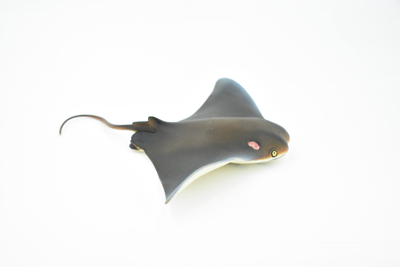 Ray, Cownose Ray, Skate, Museum Quality, Rubber Fish, Realistic Toy Figure, Model, Replica, Kids, Educational, Gift,                   7"       CH167 BB112