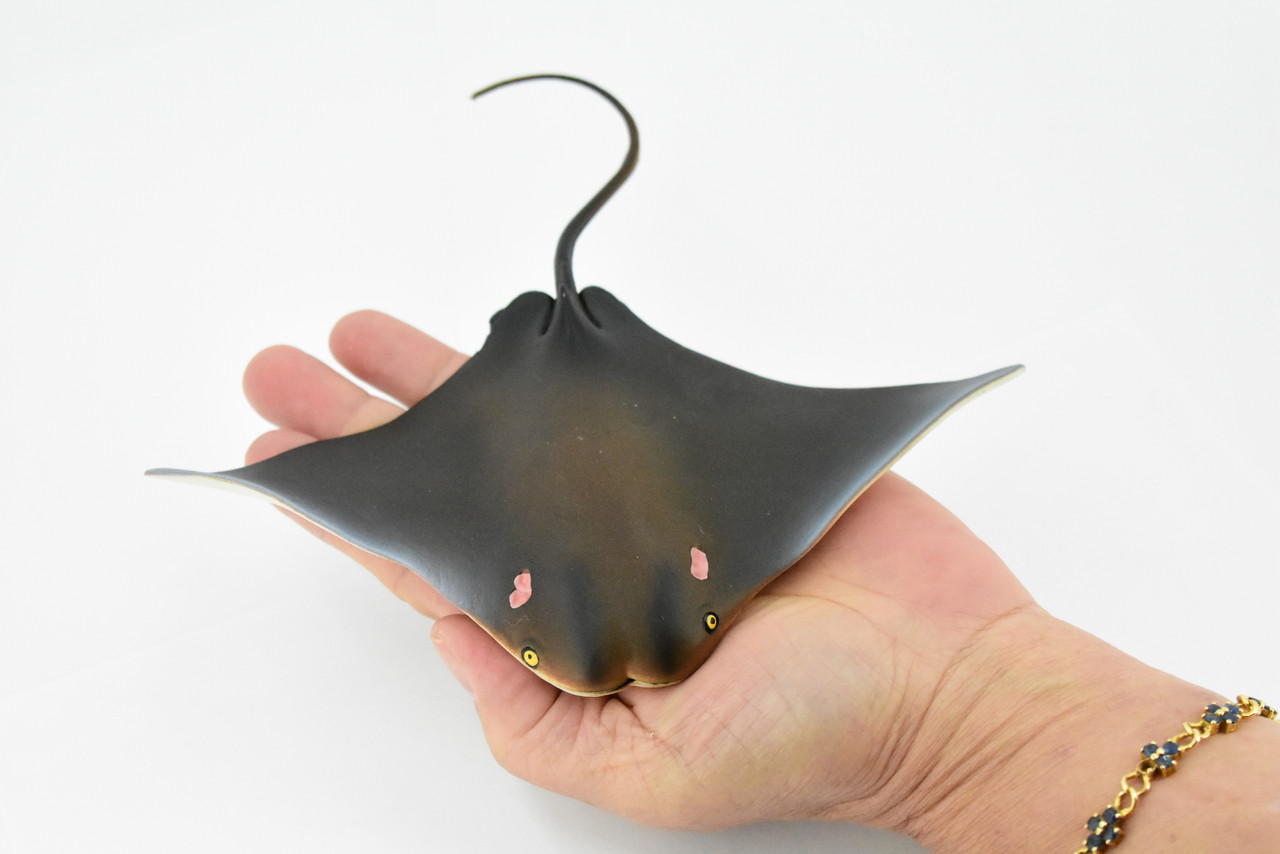 Cownose Ray, Skate, Museum Quality, Educational, Rubber Fish, Hand Painted, Realistic Toy Figure, Diorama Model, Kids, Educational,  7 Inches.
