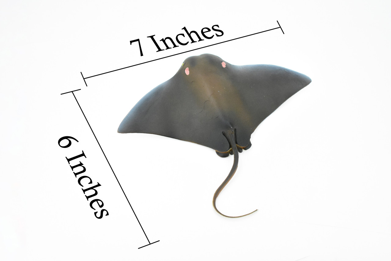 Ray, Cownose Ray, Skate, Museum Quality, Rubber Fish, Realistic Toy Figure, Model, Replica, Kids, Educational, Gift,                   7"       CH167 BB112