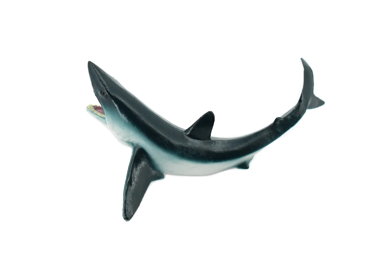 Shortfin Mako Shark, Museum Quality, Educational, Rubber Fish, Hand Painted, Realistic Toy Figure, Diorama Model, Kids, Educational,  5 Inches.