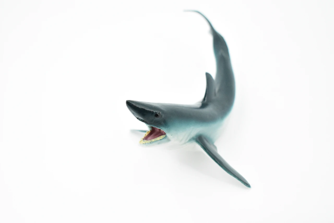 Shortfin Mako Shark, Museum Quality, Educational, Rubber Fish, Hand Painted, Realistic Toy Figure, Diorama Model, Kids, Educational,  5 Inches.