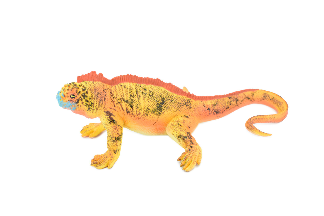 Iguana, Galapagos Marine Iguana, Museum Quality, Rubber Reptile, Hand Painted, Realistic Toy Figure, Model, Replica, Kids, Educational, Gift,      7 1/2"       CH169 BB112