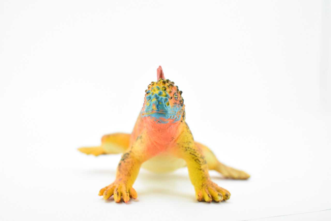 Iguana, Galapagos Marine Iguana, Museum Quality, Rubber Reptile, Hand Painted, Realistic Toy Figure, Model, Replica, Kids, Educational, Gift,      7 1/2"       CH169 BB112