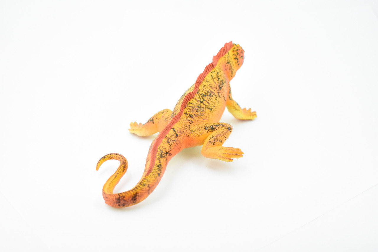 Iguana, Galapagos Marine Iguana, Museum Quality, Rubber Reptile, Hand Painted, Realistic Toy Figure, Model, Replica, Kids, Educational, Gift,      7 1/2"       CH169 BB112