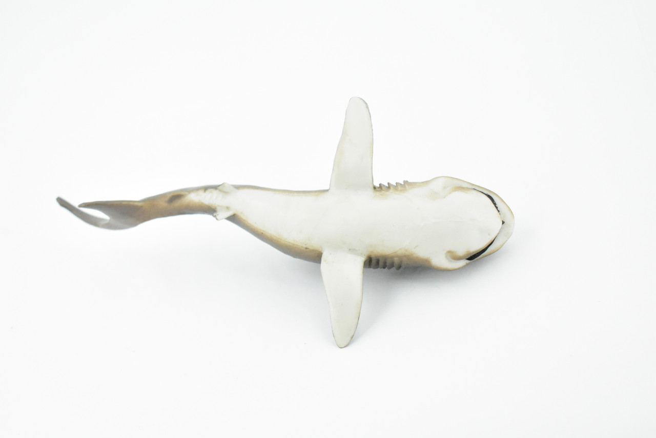 Shark, Megamouth Shark, Megachasma pelagios, Museum Quality, Rubber Fish, Hand Painted, Realistic Toy Figure, Model, Replica, Kids, Educational, Gift,     6 1/2"    CH170 BB112