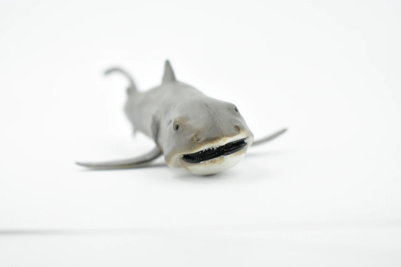 Megamouth Shark, Museum Quality, Educational, Rubber Fish, Hand Painted, Realistic Toy Figure, Diorama Model, Kids, Educational, 6 1/2 Inches.