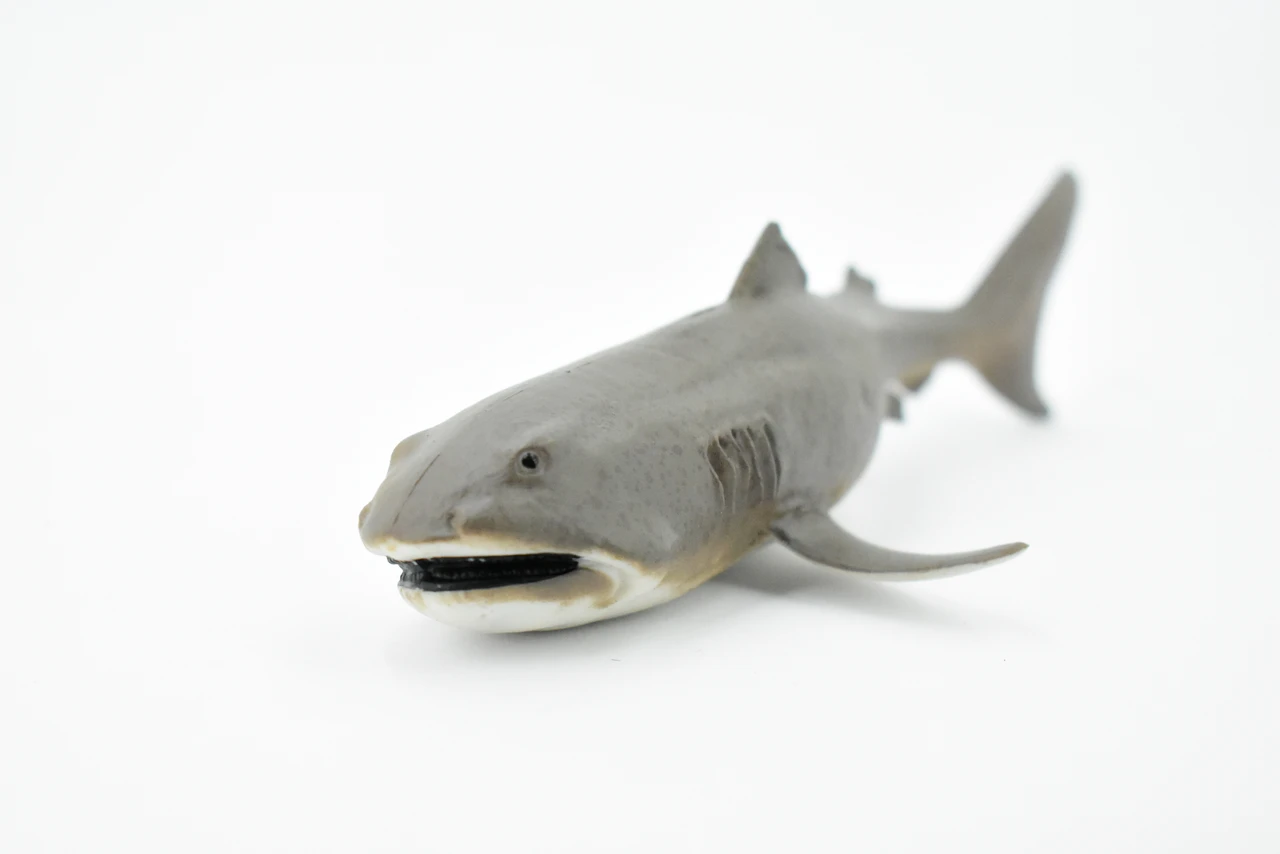 Megamouth Shark, Museum Quality, Educational, Rubber Fish, Hand Painted, Realistic Toy Figure, Diorama Model, Kids, Educational, 6 1/2 Inches.