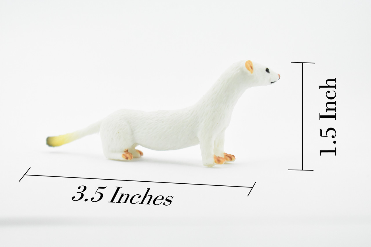 Short Tailed Weasel, Ermine, Stoat, Museum Quality, Educational, Rubber Animal, Hand Painted, Realistic, Diorama Model, Toy, Kids,  3 1/2 Inches.