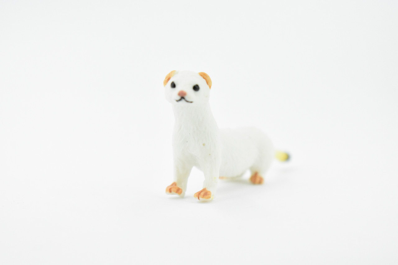 Weasel, Short Tailed Weasel, Stoat, Museum Quality, Rubber Animal, Hand Painted, Realistic Toy Figure, Model, Replica, Kids, Educational, Gift,    3 1/2"     CH171 BB113