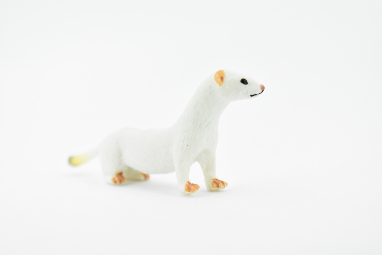 Weasel, Short Tailed Weasel, Stoat, Museum Quality, Rubber Animal, Hand Painted, Realistic Toy Figure, Model, Replica, Kids, Educational, Gift,    3 1/2"     CH171 BB113