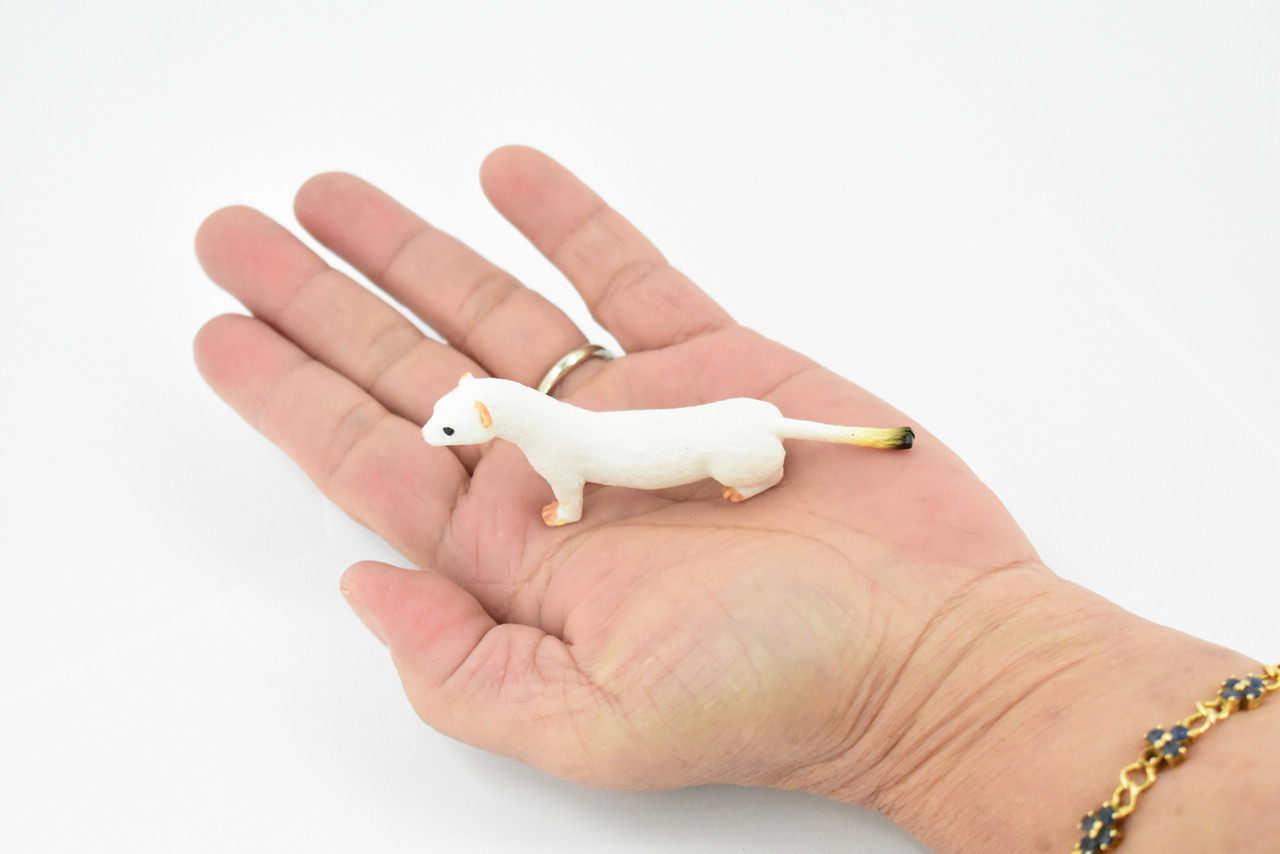 Short Tailed Weasel, Ermine, Stoat, Museum Quality, Educational, Rubber Animal, Hand Painted, Realistic, Diorama Model, Toy, Kids,  3 1/2 Inches.
