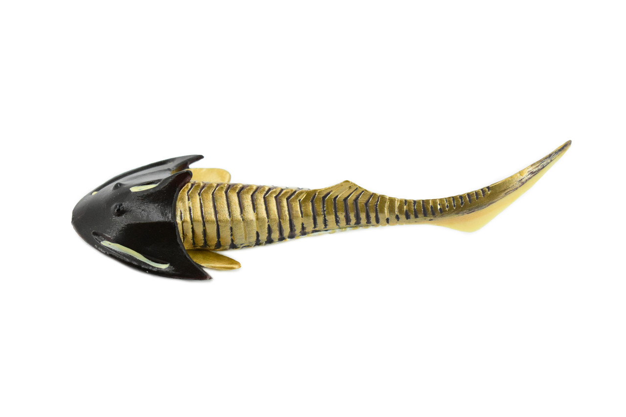 Cephaiaspis, Extinct Fish, Prehistoric, Museum Quality, Rubber Fish, Hand Painted, Realistic Toy Figure, Diorama Model, Kids, Educational,  5 Inches.