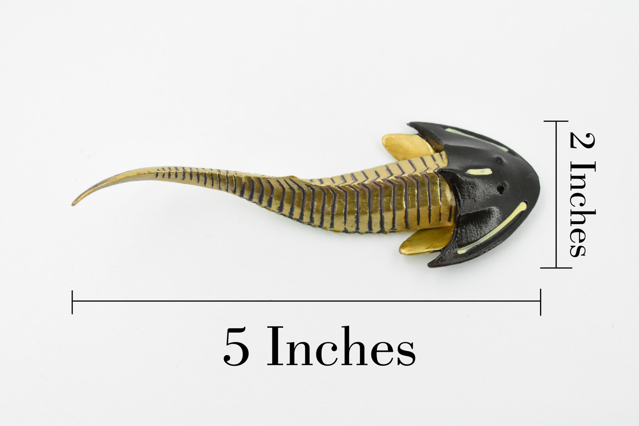 Cephaiaspis, Extinct Fish, Prehistoric, Museum Quality, Rubber Fish, Hand Painted, Realistic Toy Figure, Diorama Model, Kids, Educational,  5 Inches.