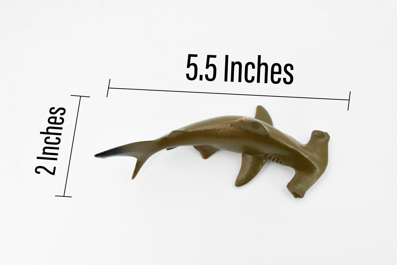 Hammerhead Shark, Museum Quality, Educational, Rubber Fish, Hand Painted, Realistic Toy Figure, Diorama Model, Kids, Educational, 5 1/2 Inches. 