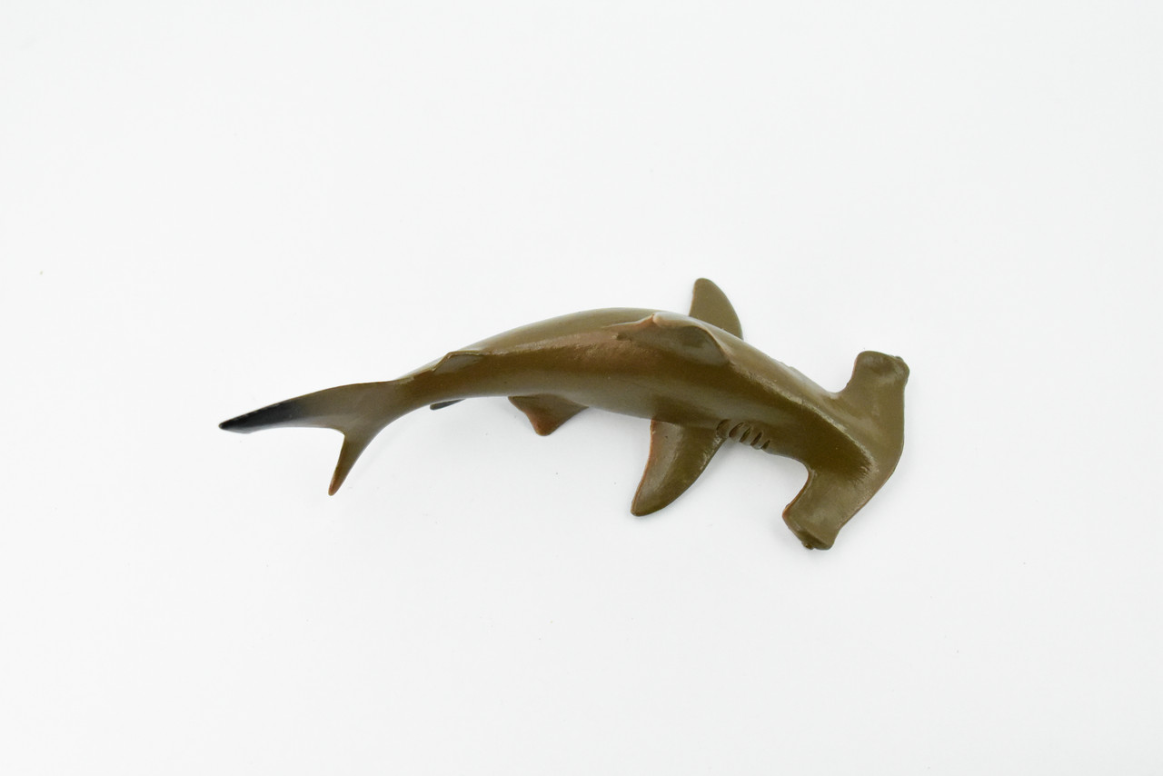 Hammerhead Shark, Museum Quality, Educational, Rubber Fish, Hand Painted, Realistic Toy Figure, Diorama Model, Kids, Educational, 5 1/2 Inches. 