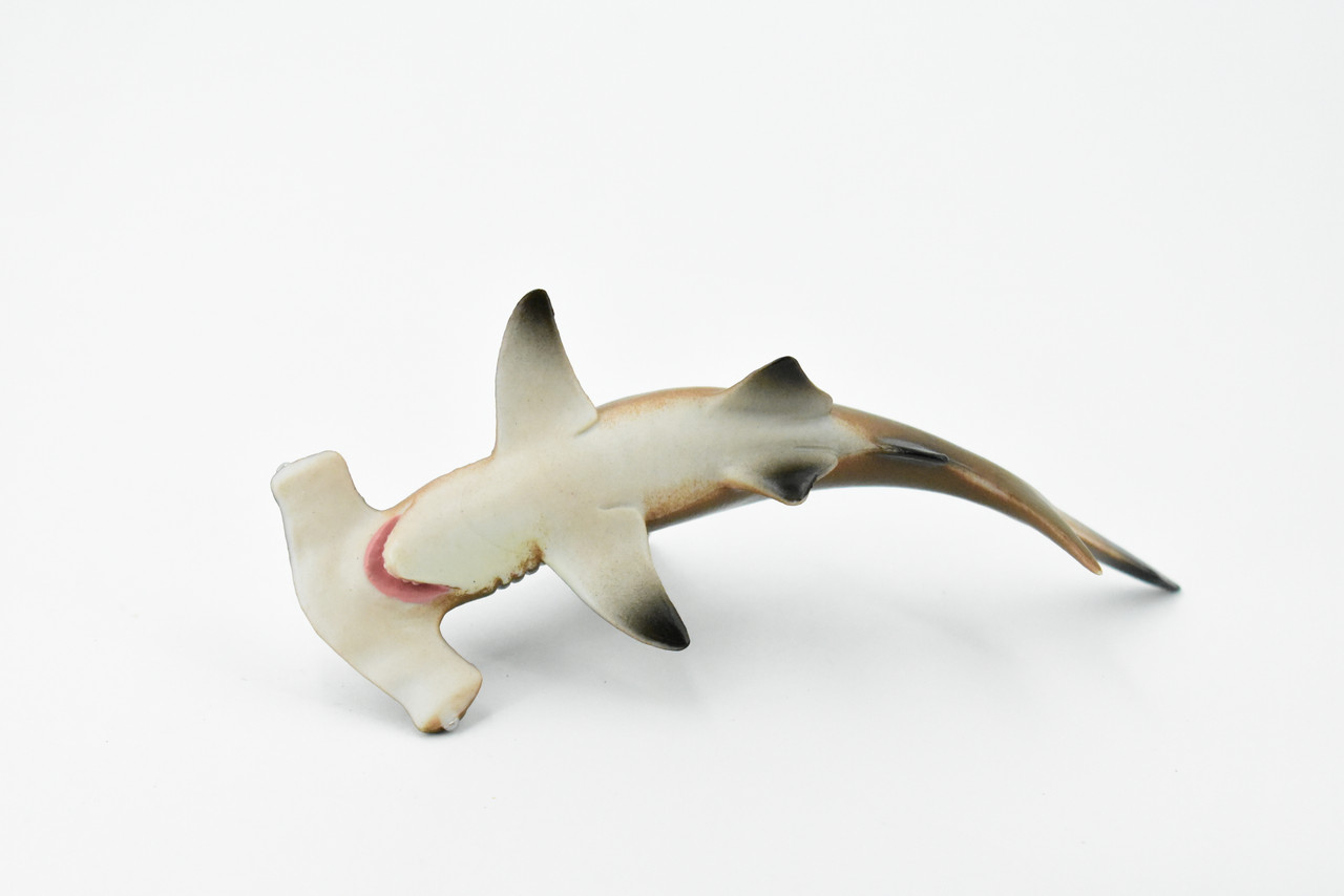 Shark, Hammerhead Shark, Museum Quality, Rubber Fish, Hand Painted,  Realistic Toy Figure, Model, Replica, Kids, Educational