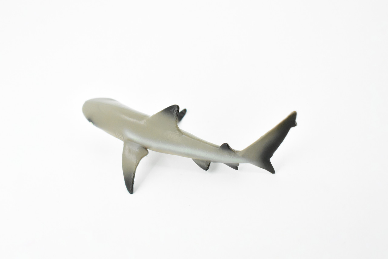 Shark, Black Tip Reef Shark, Museum Quality, Rubber Fish, Hand Painted, Realistic Toy Figure, Model, Replica, Kids, Educational, Gift,      5"     CH177 BB113