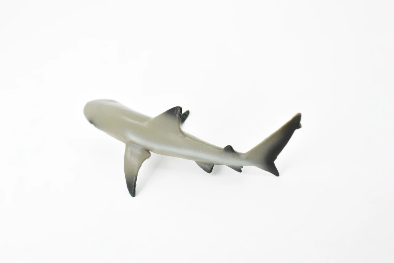 Black Tip Reef Shark, Museum Quality, Hand Painted,  Rubber Fish,  Educational, Diorama Model, Replica, Realistic Toy Figure, Kids, 5 Inches.