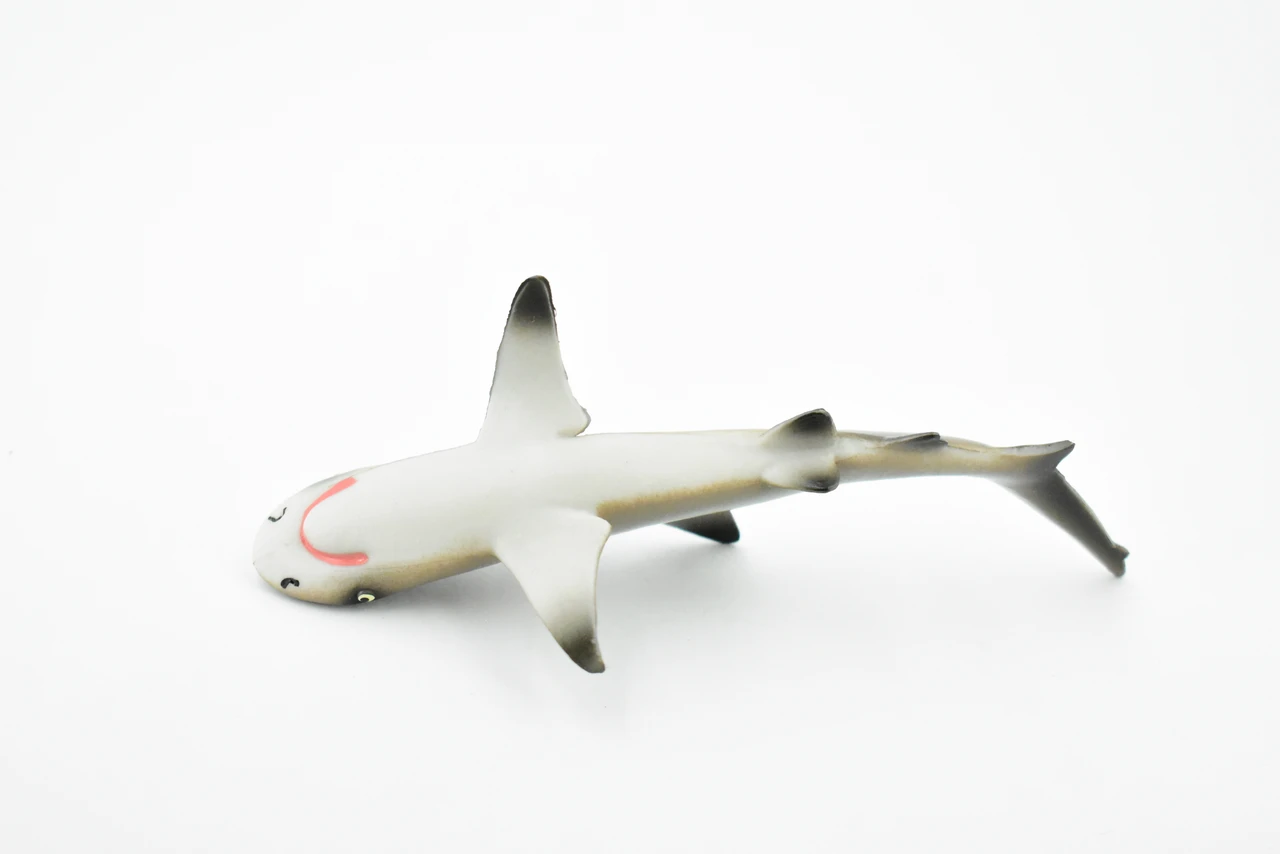 Black Tip Reef Shark, Museum Quality, Hand Painted,  Rubber Fish,  Educational, Diorama Model, Replica, Realistic Toy Figure, Kids, 5 Inches.