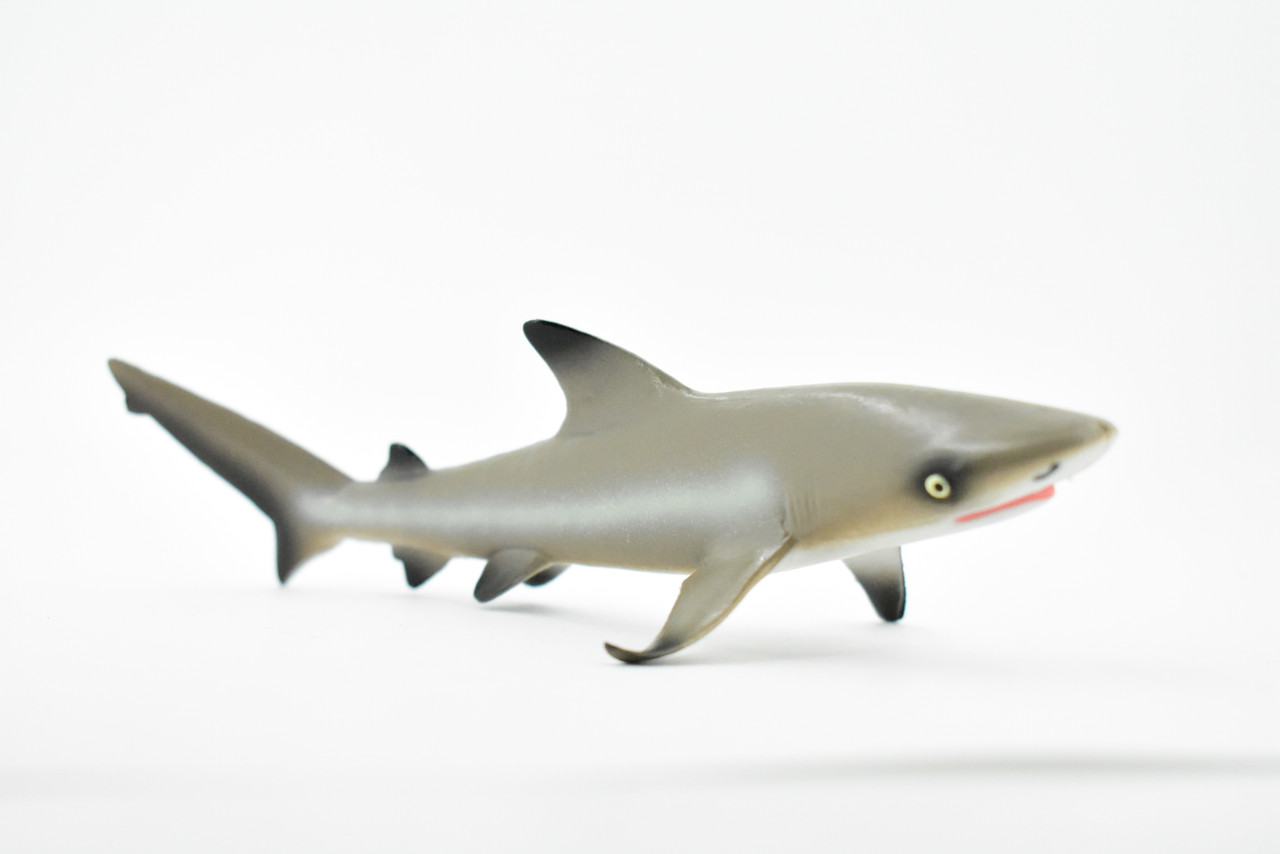 Shark, Black Tip Reef Shark, Museum Quality, Rubber Fish, Hand Painted, Realistic Toy Figure, Model, Replica, Kids, Educational, Gift,      5"     CH177 BB113