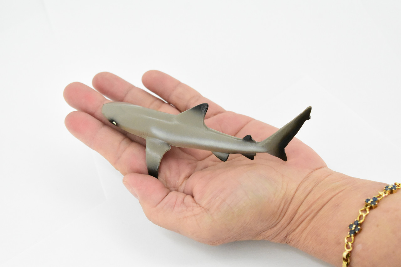 Shark, Black Tip Reef Shark, Museum Quality, Rubber Fish, Hand Painted, Realistic Toy Figure, Model, Replica, Kids, Educational, Gift,      5"     CH177 BB113