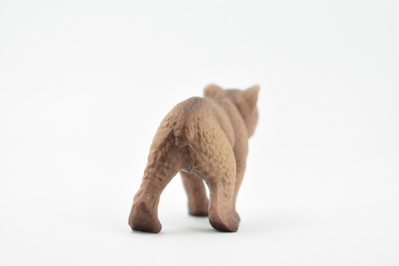 Bear, Brown Bear, Grizzly, Cub, Baby,  Rubber Animal, Hand Painted, Realistic Toy Figure, Model, Replica, Kids, Educational, Gift,       2 1/2"      CH178 BB113