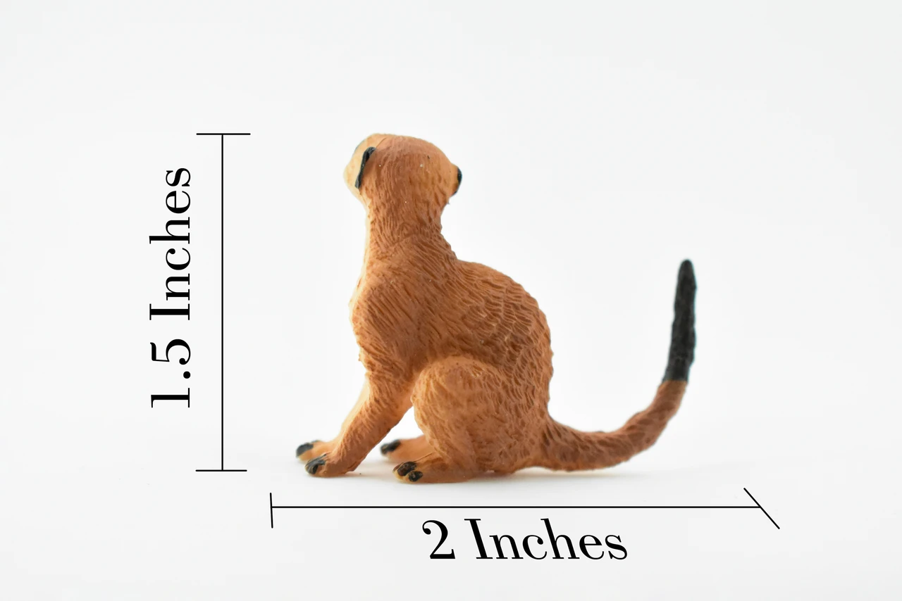 Meerkat, Mongoose, Suricata suricatta, Museum Quality, Hand Painted, Educational, Rubber Animal, Realistic Toy Figure, Diorama Model, Kids, 2 Inches.