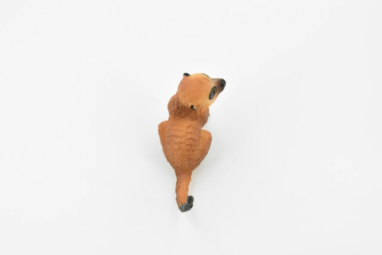Meerkat, Mongoose, Suricata suricatta, Museum Quality, Hand Painted, Educational, Rubber Animal, Realistic Toy Figure, Diorama Model, Kids, 2 Inches.