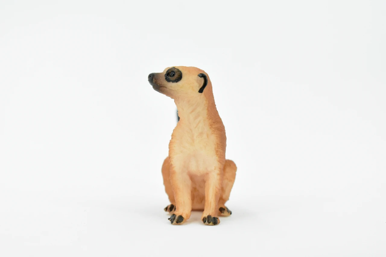 Meerkat, Mongoose, Suricata suricatta, Museum Quality, Hand Painted, Educational, Rubber Animal, Realistic Toy Figure, Diorama Model, Kids, 2 Inches.