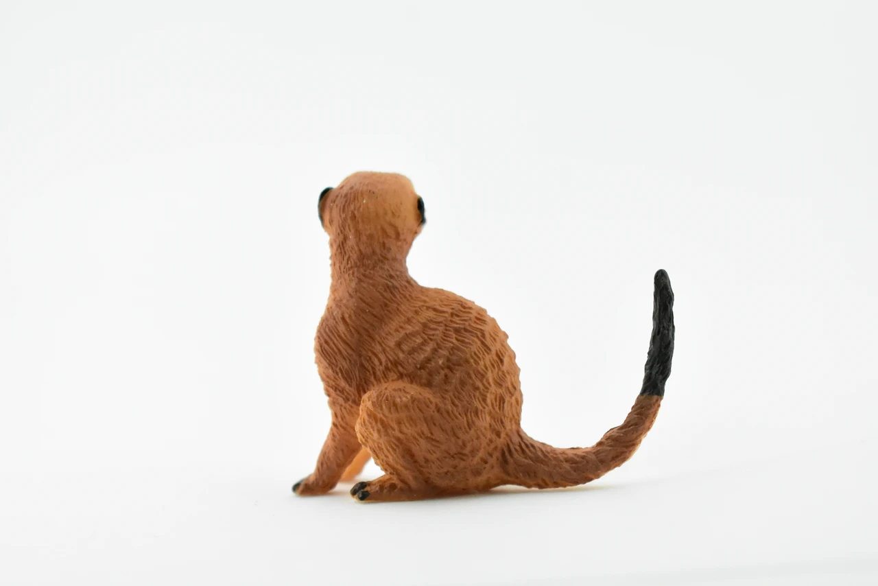 Meerkat, Mongoose, Suricata suricatta, Museum Quality, Hand Painted, Educational, Rubber Animal, Realistic Toy Figure, Diorama Model, Kids, 2 Inches.