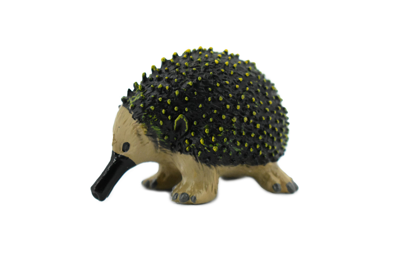 Anteater, Spiny, Echidnas, Museum Quality, Rubber Animal, Hand Painted, Realistic Toy Figure, Model, Replica, Kids, Educational, Gift,      2"      CH181 BB113