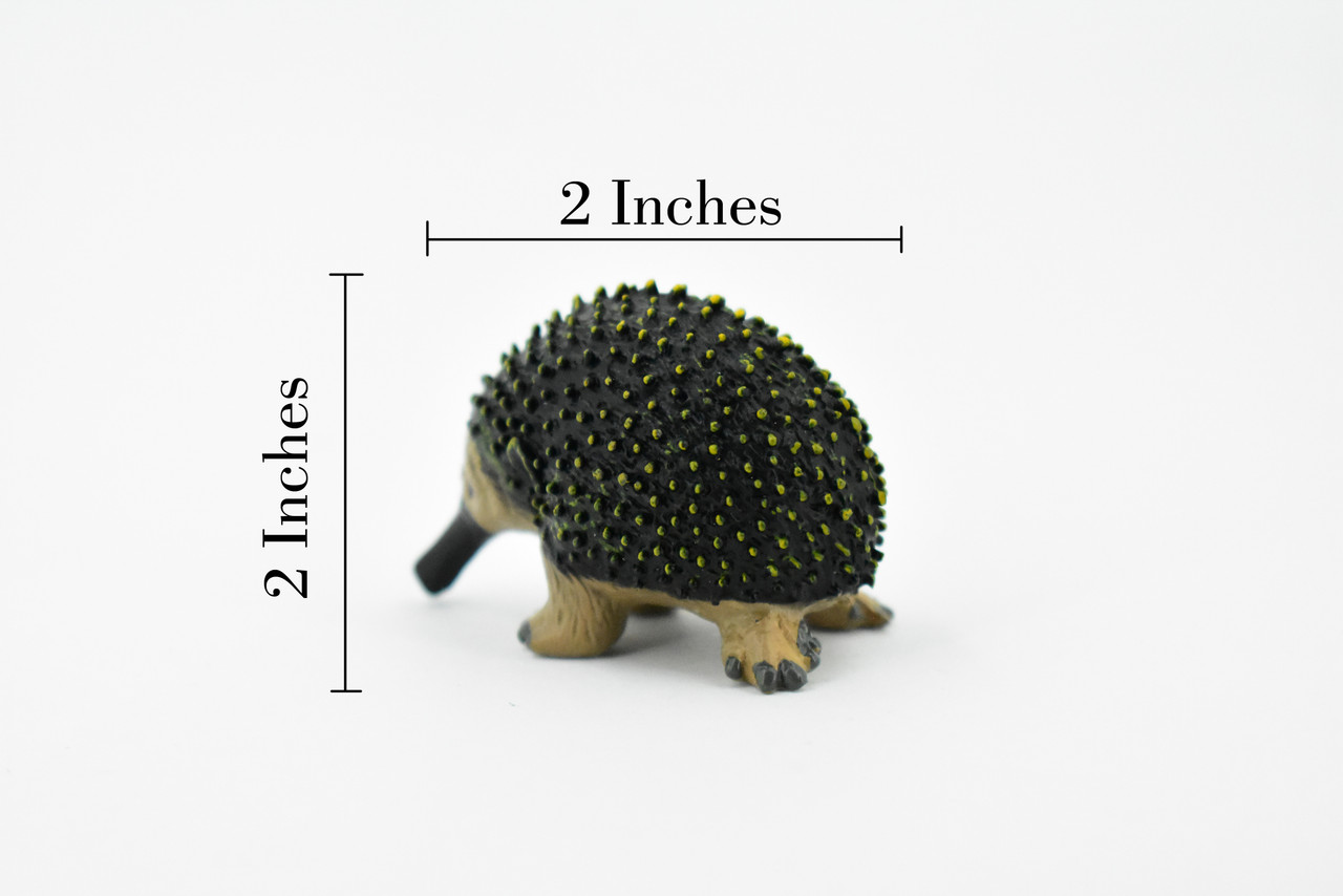 Anteater, Spiny, Echidnas, Museum Quality, Rubber Animal, Hand Painted, Realistic Toy Figure, Model, Replica, Kids, Educational, Gift,      2"      CH181 BB113