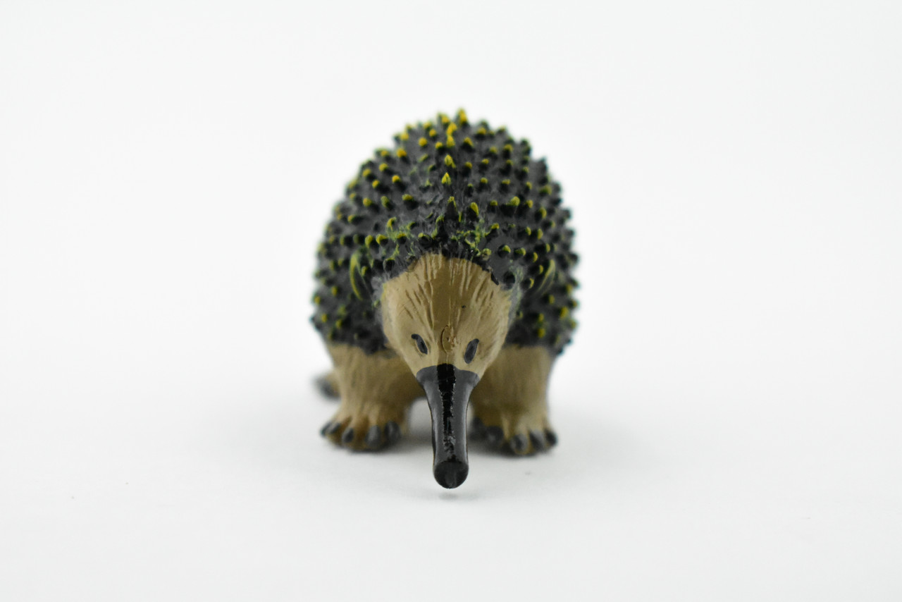 Anteater, Spiny, Echidnas, Museum Quality, Rubber Animal, Hand Painted, Realistic Toy Figure, Model, Replica, Kids, Educational, Gift,      2"      CH181 BB113