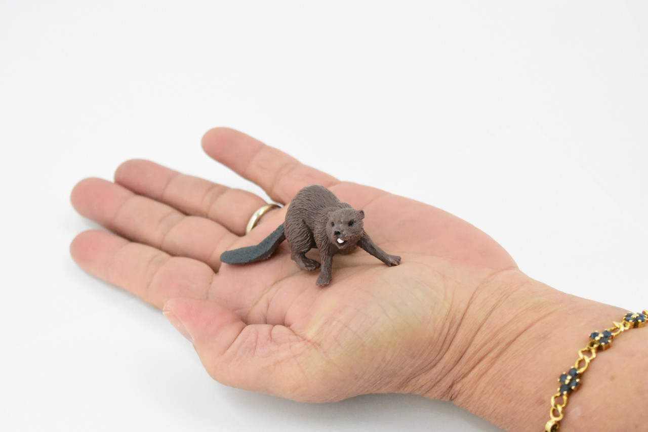 Beaver, Castor, Museum Quality, Hand Painted, Rubber Animal, Realistic Toy Figure, Diorama Model, Kids, Educational, Gift,      2 1/2 Inches.   