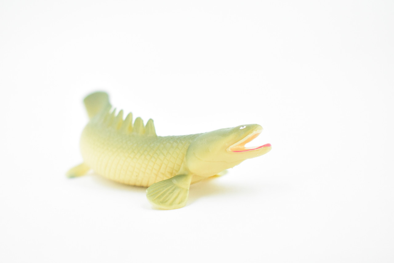 Polypterus, Bichirs, Ropefish, Museum Quality, Rubber Fish, Hand Painted, Realistic Toy Figure, Model, Replica, Kids, Educational, Gift,      4 1/2"      CH183 BB113