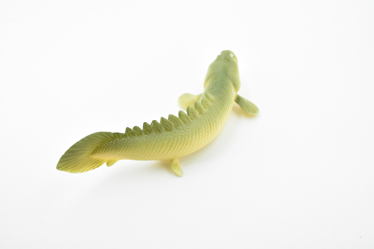 Polypterus, Bichirs, Ropefish, Museum Quality, Rubber Fish, Hand Painted, Realistic Toy Figure, Model, Replica, Kids, Educational, Gift,      4 1/2"      CH183 BB113