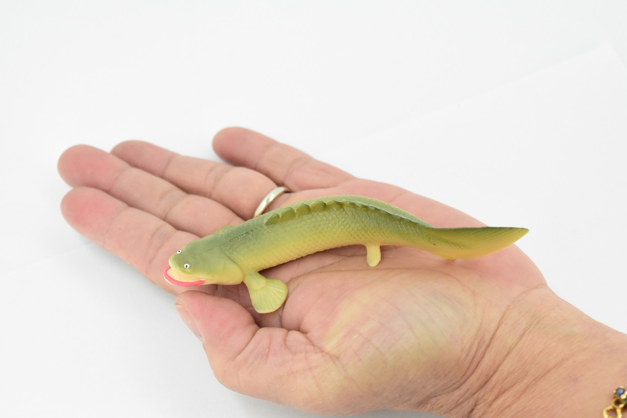 Polypterus, Bichirs, Ropefish, Museum Quality, Rubber Fish, Hand Painted, Realistic Toy Figure, Model, Replica, Kids, Educational, Gift,      4 1/2"      CH183 BB113