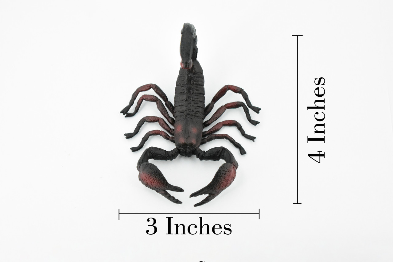 Scorpion, Black and Red, Arachnids, Museum Quality, Rubber Inscect, Figure, Model, Educational, Hand Painted Figurines, Educational, Gift,       4"     CH184 BB113