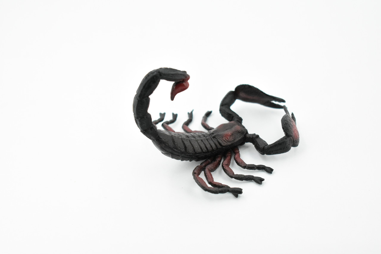 Scorpion, Black and Red, Arachnids, Scorpiones, Museum Quality, Educational, Hand Painted, Rubber Insect, Diorama Model, Realistic, Kids, Toys,  4 Inches.