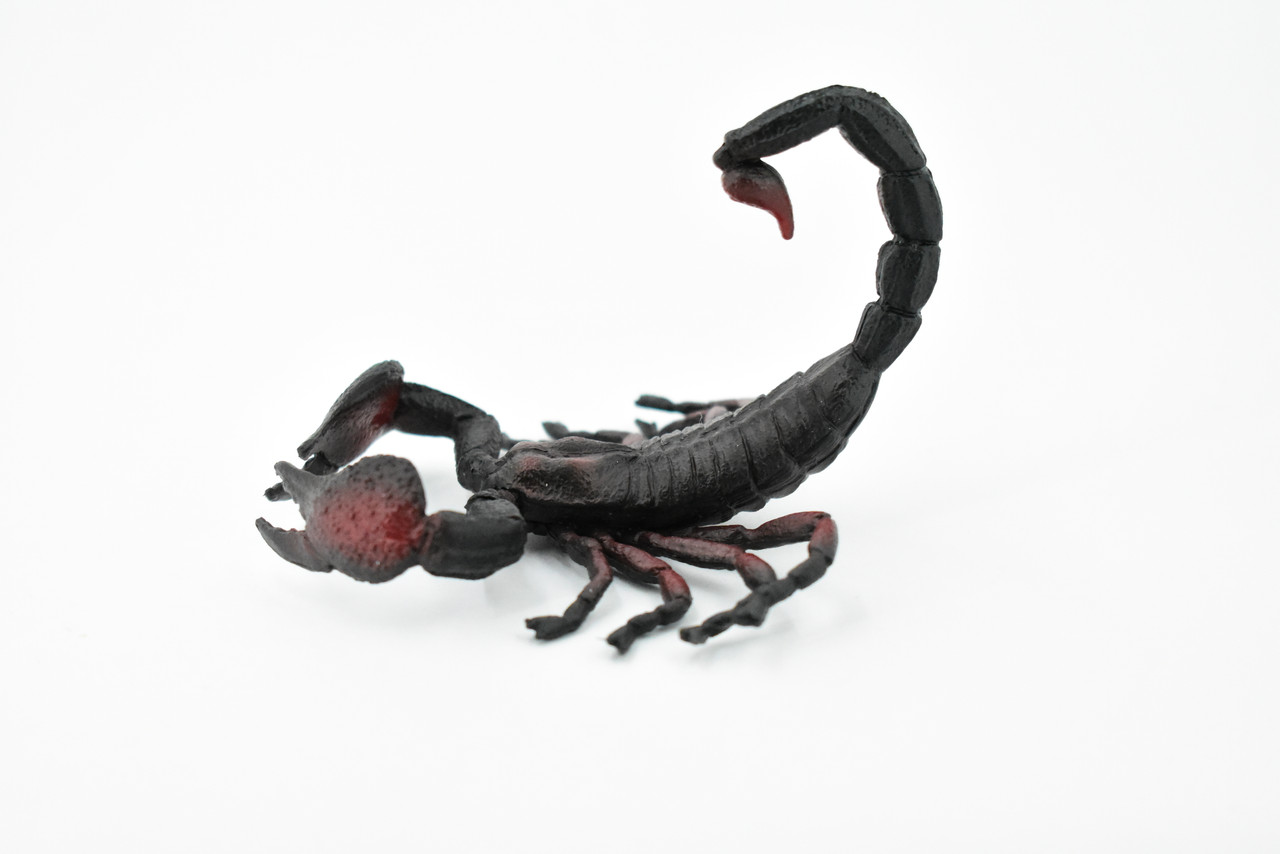 Scorpion, Black and Red, Arachnids, Museum Quality, Rubber Inscect, Figure, Model, Educational, Hand Painted Figurines, Educational, Gift,       4"     CH184 BB113