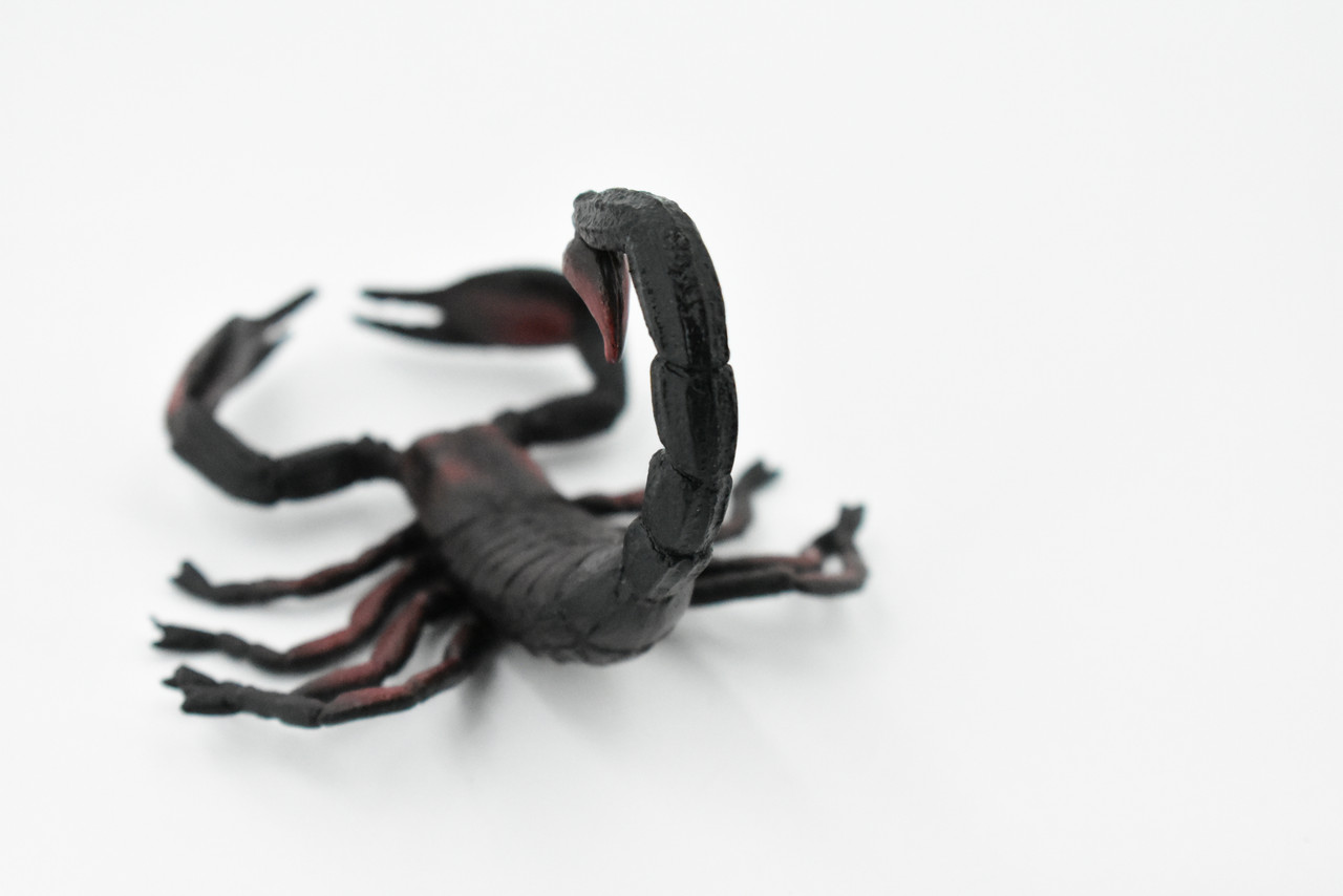 Scorpion, Black and Red, Arachnids, Museum Quality, Rubber Inscect, Figure, Model, Educational, Hand Painted Figurines, Educational, Gift,       4"     CH184 BB113