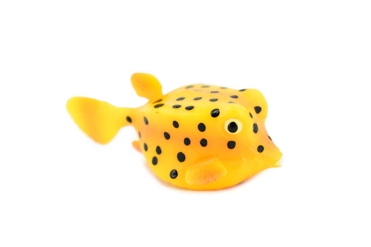 Trunkfish, Trunk Fish, Spotted, Rubber Fish, Museum Quality, Hand Painted, Realistic Toy Figure, Diorama Model, Replica, Kids, Educational,  2 Inches. 