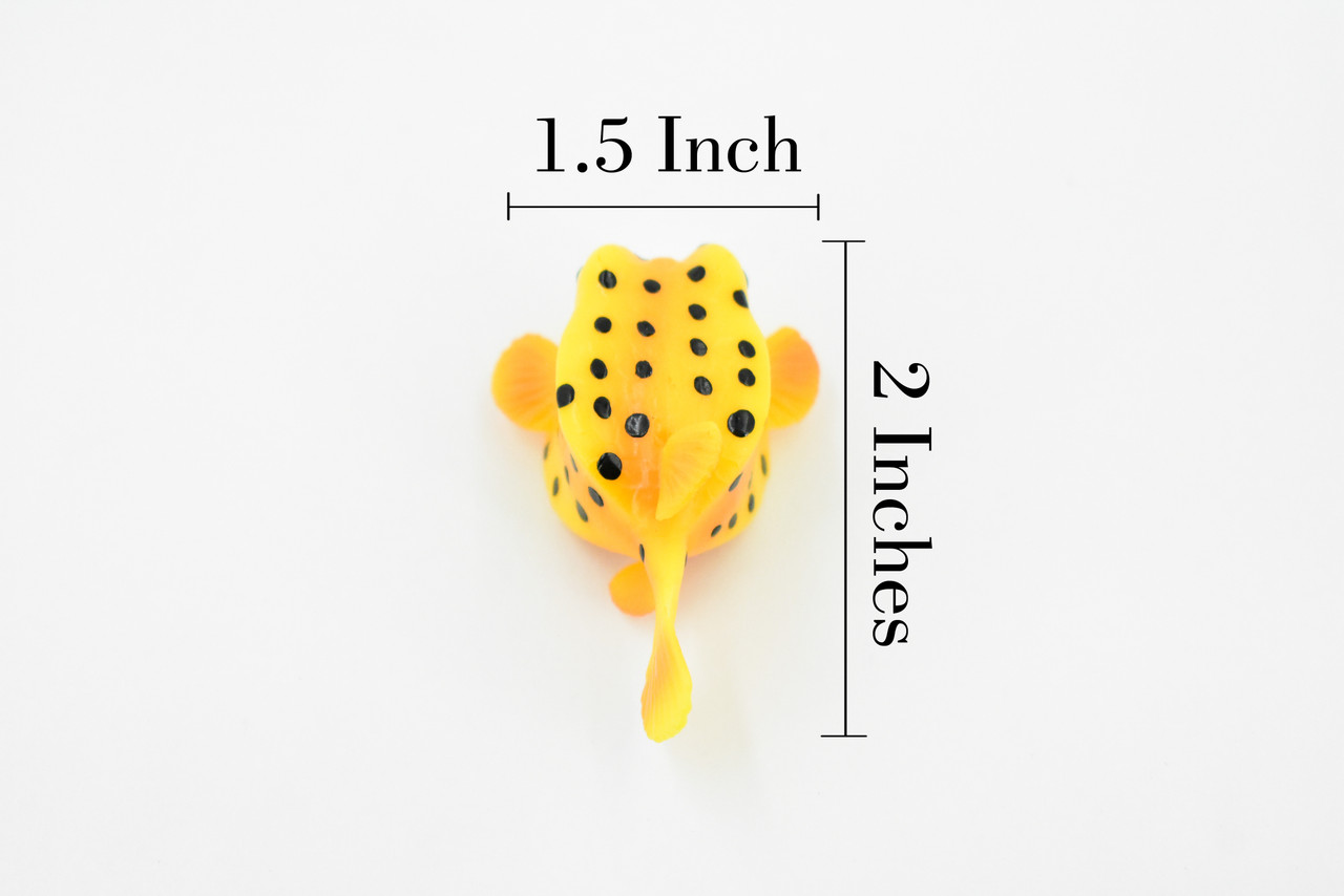 Trunkfish, Trunk Fish, Spotted, Rubber Fish, Museum Quality, Hand Painted, Realistic Toy Figure, Diorama Model, Replica, Kids, Educational,  2 Inches. 