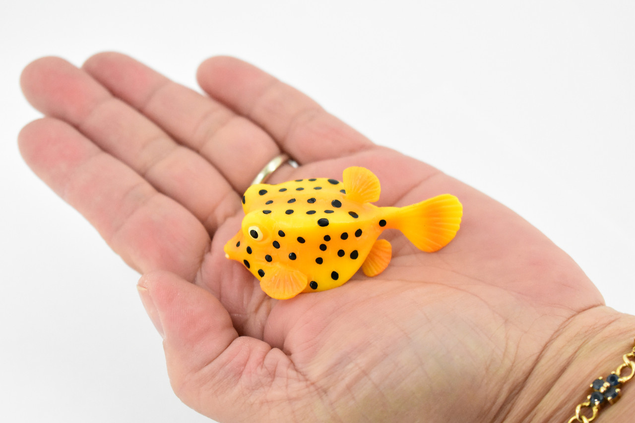 Trunkfish, Trunk Fish, Spotted, Rubber Fish, Museum Quality, Hand Painted, Realistic Toy Figure, Diorama Model, Replica, Kids, Educational,  2 Inches. 