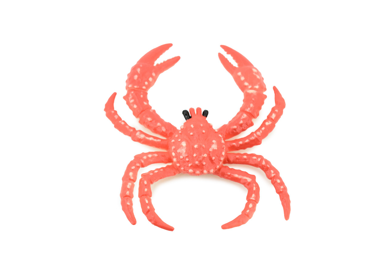 Crab, King Crab, Rubber Crustacean, Museum Quality, Hand Painted, Realistic Toy Figure, Model, Replica, Kids, Educational, Gift,         4"     CH445 BB114