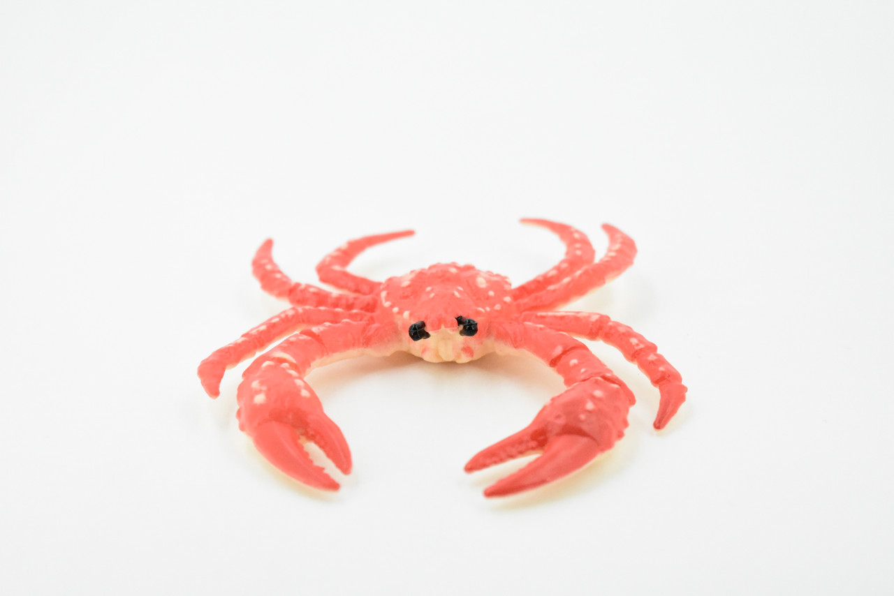 King Crab, Rubber Crustacean, Museum Quality, Hand Painted, Realistic Toy Figure, Diorama Model, Replica, Kids, Educational,  4 Inches. 