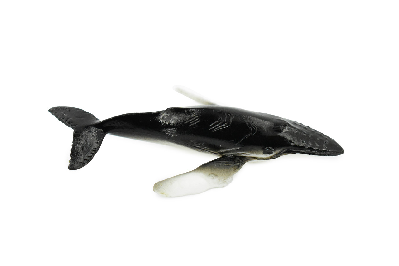 Humpback Whale, Endangered Marine Mammal, Hand Painted, Rubber, Educational Design, Figure, Diorama Model, Toy, Kids,   3 Inches. 