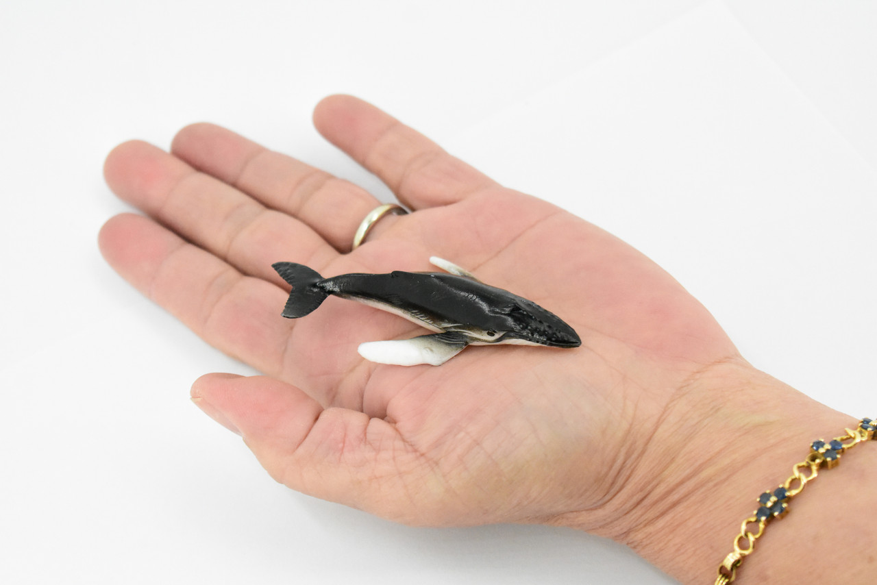 Humpback Whale, Endangered Marine Mammal, Hand Painted, Rubber, Educational Design, Figure, Diorama Model, Toy, Kids,   3 Inches. 