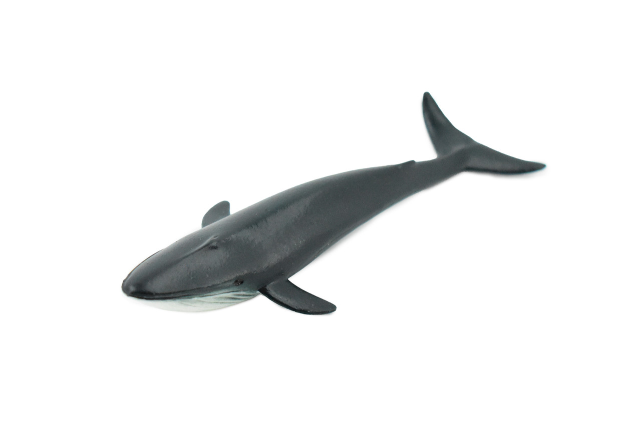 Blue Whale, Endangered Marine Mammal, Hand Painted, Rubber, Educational Design, Figure, Diorama Model, Toy, Kids,  4 Inches. 