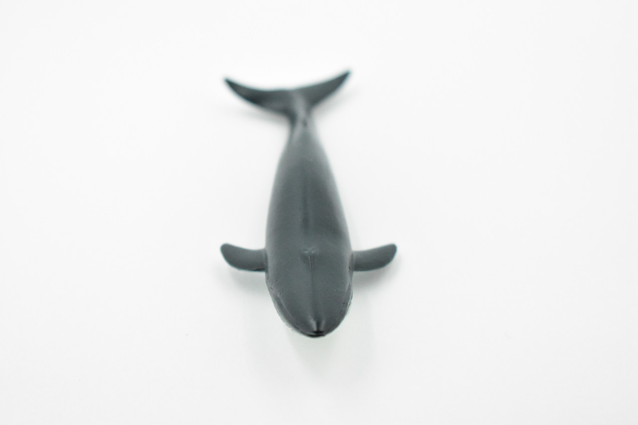 Whale, Blue Whale, Marine Mammal, Rubber Animal, Realistic Toy Figure, Model, Replica, Kids, Hand Painted, Educational, Gift,       4"     CH448 BB114